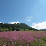 Gaestehaus Bergstueberl Gæstehus 4*