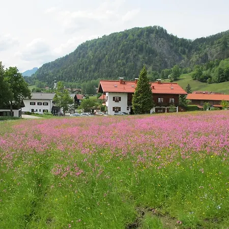 Gasthuis Gaestehaus Bergstueberl Reit im Winkl