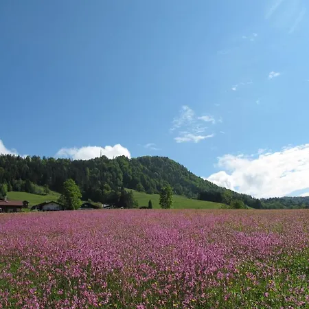 Gaestehaus Bergstueberl Gasthuis 4*
