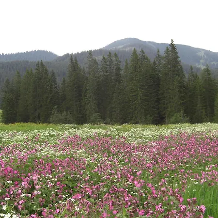 ゲストハウス Gaestehaus Bergstueberl 4*