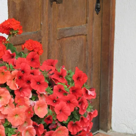 Gaestehaus Bergstueberl ライト・イム・ヴィンクル