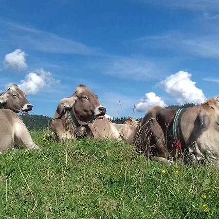 Gaestehaus Bergstueberl 4* ライト・イム・ヴィンクル