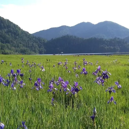 ゲストハウス Gaestehaus Bergstueberl 4*