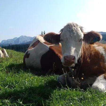 Gaestehaus Bergstueberl 4* ライト・イム・ヴィンクル