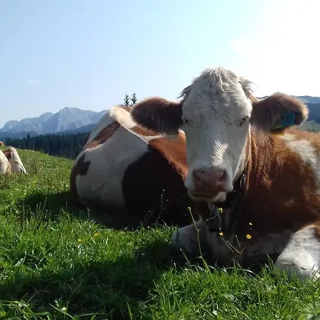 Bergstüberl 4* Reit im Winkl