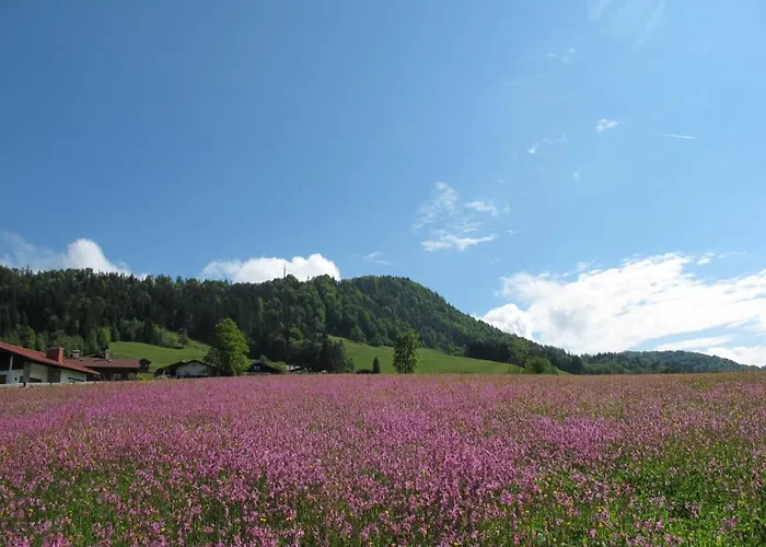 Gaestehaus Bergstueberl Gæstehus 4*